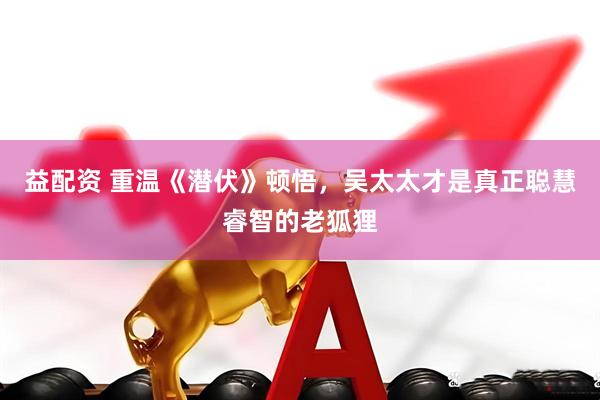 益配资 重温《潜伏》顿悟，吴太太才是真正聪慧睿智的老狐狸