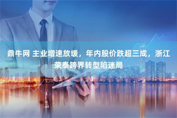 鼎牛网 主业增速放缓，年内股价跌超三成，浙江荣泰跨界转型陷迷局