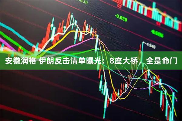 安徽润格 伊朗反击清单曝光：8座大桥，全是命门