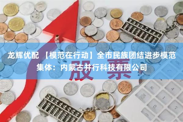 龙辉优配 【模范在行动】全市民族团结进步模范集体：内蒙古并行科技有限公司
