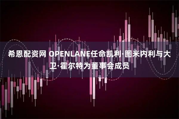 希恩配资网 OPENLANE任命凯利·图米内利与大卫·霍尔特为董事会成员