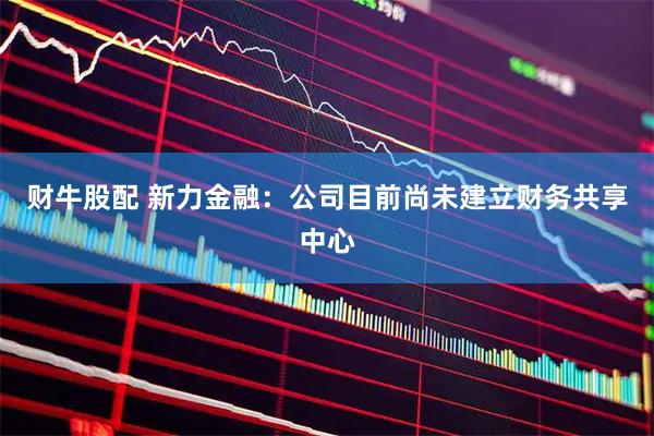 财牛股配 新力金融：公司目前尚未建立财务共享中心