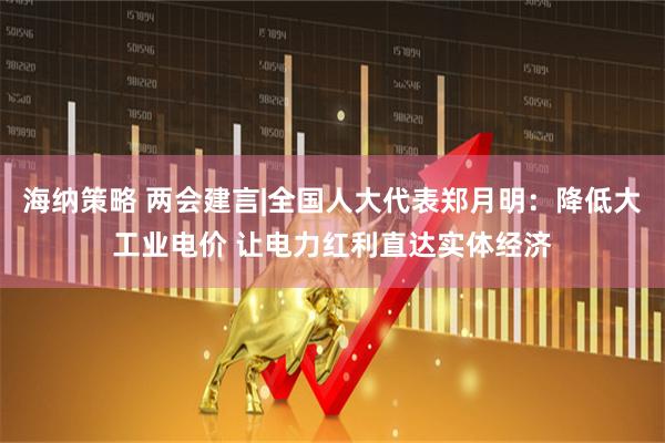 海纳策略 两会建言|全国人大代表郑月明：降低大工业电价 让电力红利直达实体经济