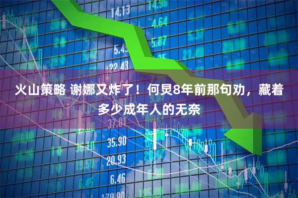 火山策略 谢娜又炸了！何炅8年前那句劝，藏着多少成年人的无奈