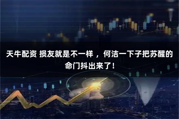 天牛配资 损友就是不一样 ，何洁一下子把苏醒的命门抖出来了！