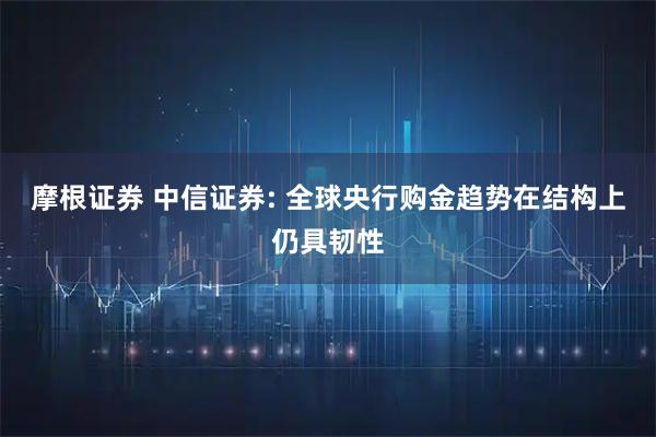 摩根证券 中信证券: 全球央行购金趋势在结构上仍具韧性
