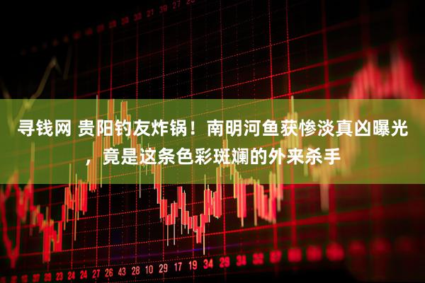 寻钱网 贵阳钓友炸锅！南明河鱼获惨淡真凶曝光，竟是这条色彩斑斓的外来杀手