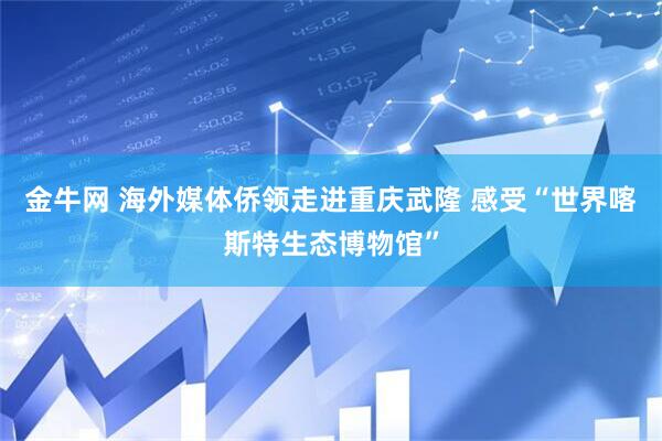 金牛网 海外媒体侨领走进重庆武隆 感受“世界喀斯特生态博物馆”