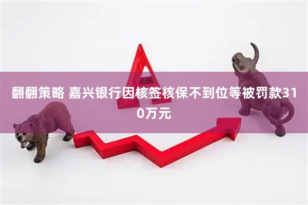 翻翻策略 嘉兴银行因核签核保不到位等被罚款310万元