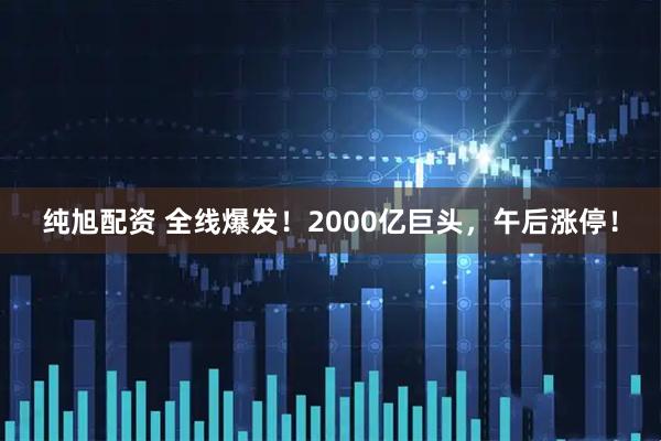 纯旭配资 全线爆发！2000亿巨头，午后涨停！