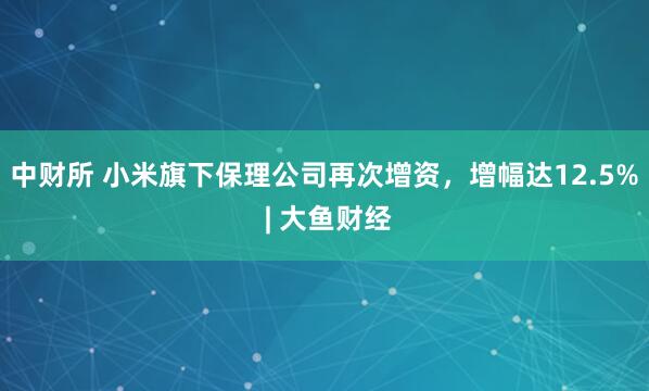 中财所 小米旗下保理公司再次增资，增幅达12.5% | 大鱼财经