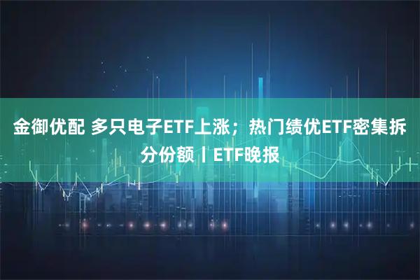 金御优配 多只电子ETF上涨；热门绩优ETF密集拆分份额丨ETF晚报