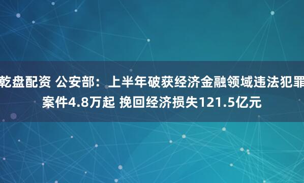乾盘配资 公安部：上半年破获经济金融领域违法犯罪案件4.8万起 挽回经济损失121.5亿元