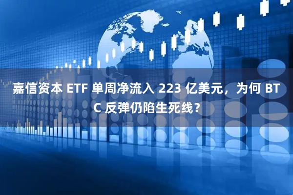 嘉信资本 ETF 单周净流入 223 亿美元，为何 BTC 反弹仍陷生死线？